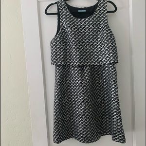 Silver and Black Dress